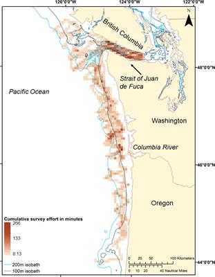 Habitat associations of marine predators in the northern California Current during the low productivity downwelling season